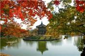 Những điểm đến tuyệt vời nhất vào mùa thu Hàn Quốc