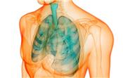 Những dấu hiệu của phổi bạn cần lưu ý
