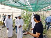 Chính sách nông nghiệp của UAE