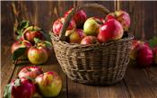 Bạn có lo lắng khi mỗi quả táo chứa khoảng 100 triệu vi sinh?