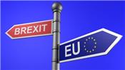 Những thuận lợi và khó khăn về thương mại - sản xuất hậu Brexit