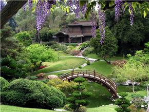 Khu vườn Nhật Bản