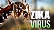 Phòng chống dịch bệnh do vi rút Zika trong trường học