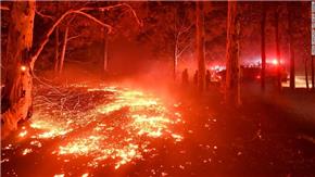 Cháy rừng ở Úc có nguy cơ xảy ra một lần nữa và còn có thể tồi tệ hơn