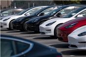 Cổ phiếu Tesla tăng cao sau khi công ty công bố lợi nhuận kỷ lục và sẽ bán nửa triệu xe trong năm nay