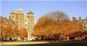 Ivy League - nhóm 8 trường đại học danh giá của Hoa Kỳ