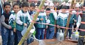 Hà Nội: Trường học sẽ có hơn 10.000 cây xanh trong năm mới