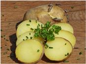 8 lợi ích tuyệt vời khi ăn khoai tây