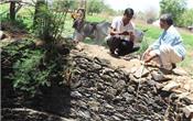 Ứng dụng giúp nông dân khai thác nguồn nước trong cuộc khủng hoảng nước ở Ấn Độ