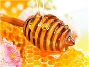 Lợi ích từ mật ong