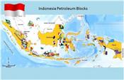 Nền công nghiệp dầu khí Indonesia