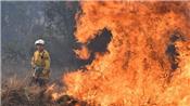 Cháy rừng ở Úc: Hàng chục ngôi nhà bị thiêu rụi hoặc hư hại