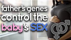 Sinh con trai hay gái phụ thuộc vào gen của người cha