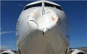 Đầu máy bay của hãng hàng không Thổ Nhĩ Kỳ bị biến dạng sau khi va phải chim