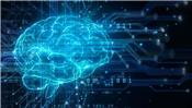 Linh kiện mới cho công nghệ điện toán mô phỏng não bộ