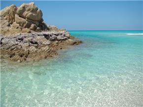 Socotra - hòn đảo lạ kỳ nhất Trái Đất