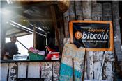 Ngân hàng Thế giới từ chối hỗ trợ El Salvador triển khai đồng Bitcoin
