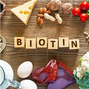 Những thực phẩm giàu biotin